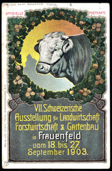 Bild austauschen