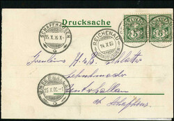 REICHENAU: Bahnhof, Doppelkarte, gest. 1906