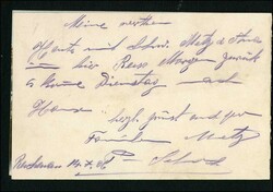 REICHENAU: Bahnhof, Doppelkarte, gest. 1906