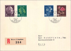 Image du lot