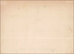 CAMPASCH/POSCHIAVO, saber auf illustrierter Karte, Karte mit Bug