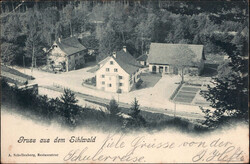 Gruss aus dem SIHLWALD, Foto-AK, 1902