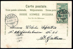 ZÜRICHSEE, Litho, mit Berggesicht, 1900