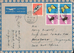 Picture 1 for Lot from Rölli Auktionen AG
