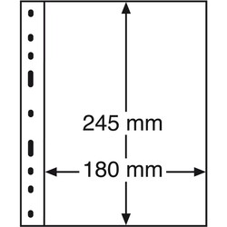 135: Coins and Banknote Supplies