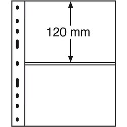 135: Coins and Banknote Supplies
