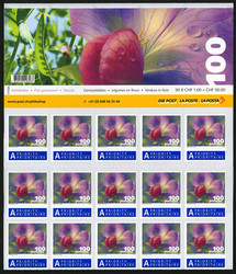 7999: Schweiz - Lot Nominale