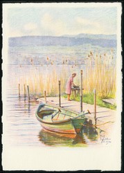 5656: Switzerland Pro Juventute - Covers bulk lot