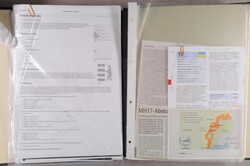 1918-1923, Sammlung der Altausgaben inkl. vieler Aufdruckwerte. Dazu ...