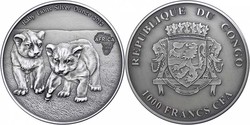 50.190: Africa - Congo