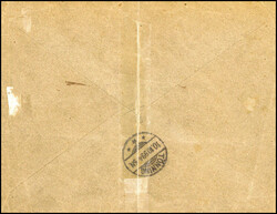 20 Pfg., zwei tadellose Exemplare mit leuchtend blauen Stempeln ...