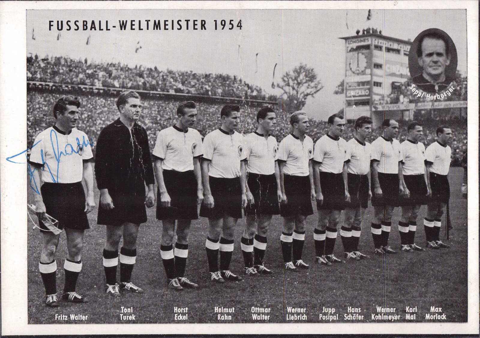Deutschland Fußball Weltmeister 1954 mit auctions & price archive