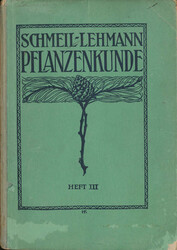 Losabbildung