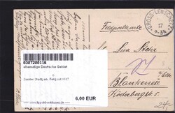 Samter Stadtpark, Feldpost 1917Automatically generated translation ...