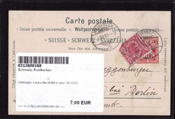 Meiringen Aareschlucht Blick zum Ort 1895