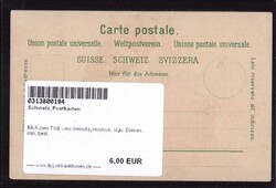 Blick zum Tödi vom Gemsfayrenstock, sign. Diemer, min. best