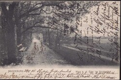 O-3000 Magdeburg Weg an der Elbe im Stadtpark 1905Automatically ...