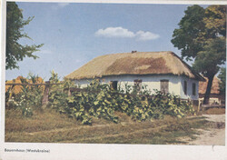 Posten von 8 AK´s Bilder aus der Ukraine um 1940