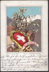 Schweiz Kohl-Wappenkarte No. 10 1900, min. best