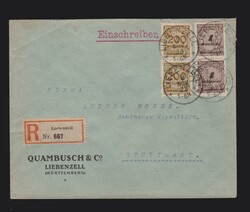 1100100: Deutsches Reich, 1918/23 Inflationsausgaben - Stempel
