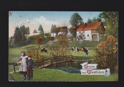 Ansichtskarte Heimatbilder aus Westphalen DR MeF Mi.3x 269 von ...