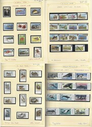 2480: Islas Malvinas - Collections