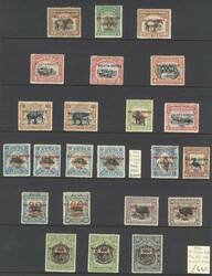 4685: Borneo Septentrional