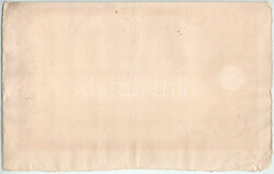 Budapest 1895. "Salgó-Tarjáni K?szénbánya Részvénytársulat" ...