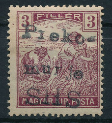 6576: Hungary Local issues 1919-1921