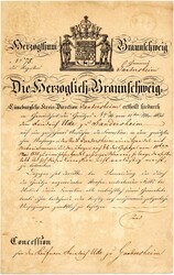 25: Altdeutschland Braunschweig - Sammlungen