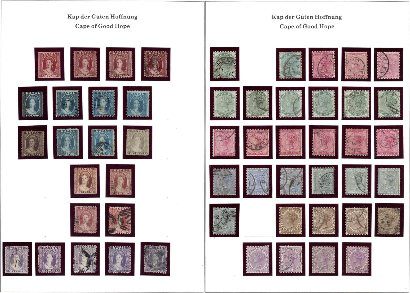 Natal, Oranjefreistaat, Transvaal, Zululand, reichhaltige Sammlung ...