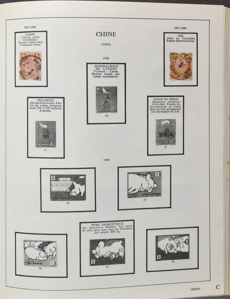 Image 6 for lot number 4419 for 181st. Van Looy Auction