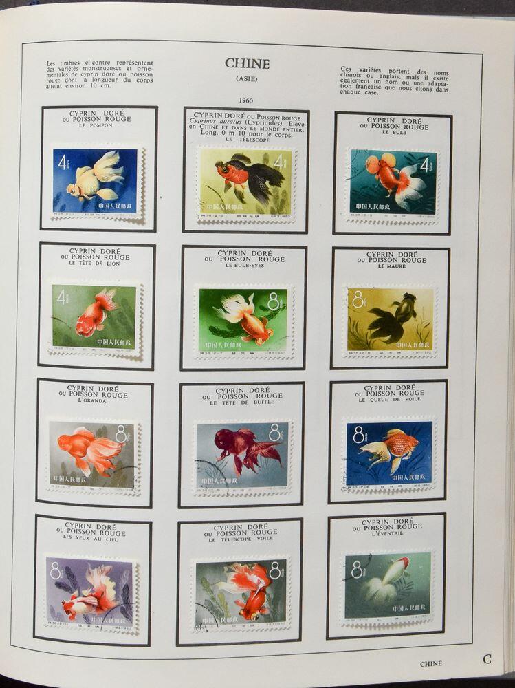 Image 7 for lot number 4419 for 181st. Van Looy Auction