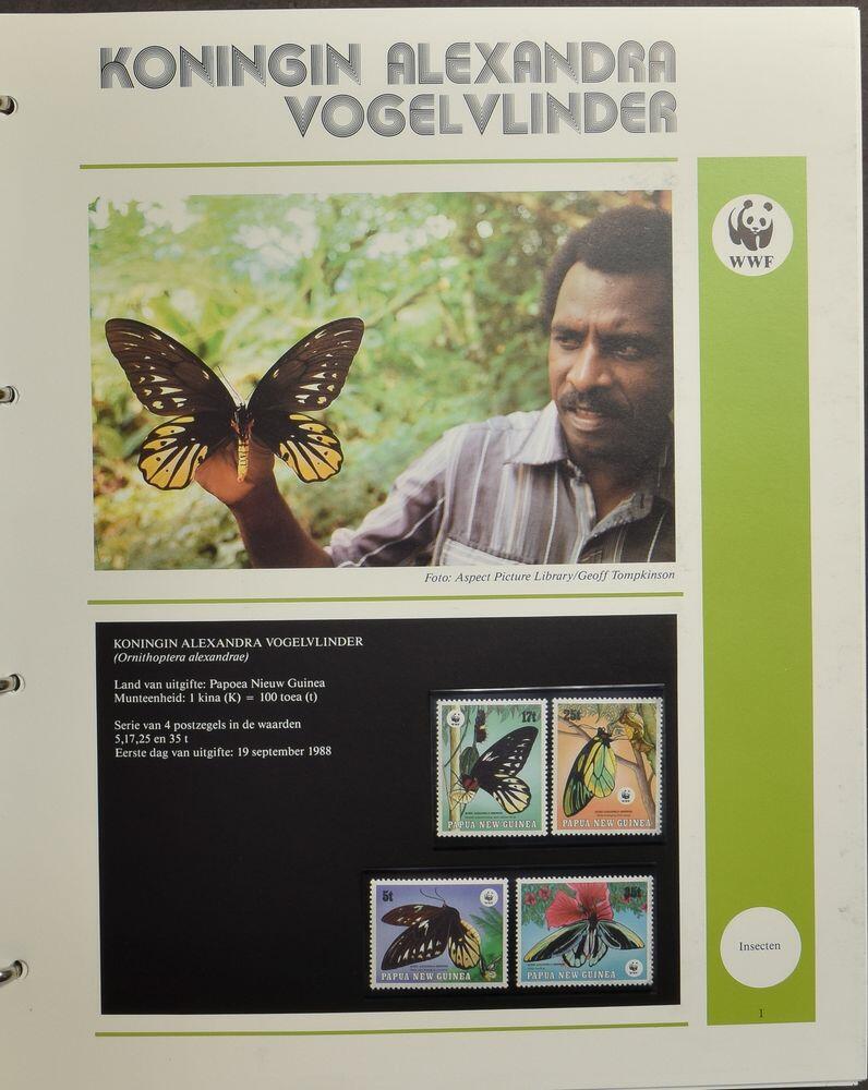 Image 2 for lot number 3621 for 182nd. Van Looy Auction