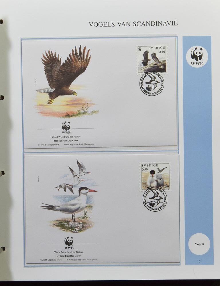 Image 2 for lot number 3623 for 182nd. Van Looy Auction