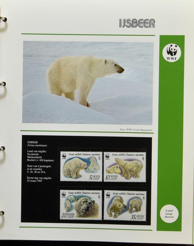 Image 3 for lot number 3623 for 182nd. Van Looy Auction