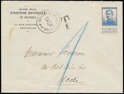 1918 N° 125 „25c. blau” auf Brief von Brüssel 20.XI.18 nach ...