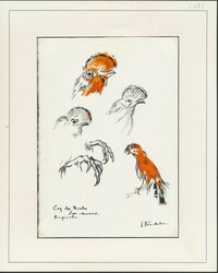 N° 1216 „Zoo von Antwerpen – 40c. + 10c. Felsenhahn”, ...