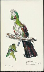 N° 1218 „Zoo von Antwerpen, 2 Fr. + 50 C. Turkoo“, ...