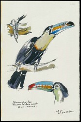 N° 1219 „Zoo von Antwerpen – 2,50 Fr. + 1 Fr. ...