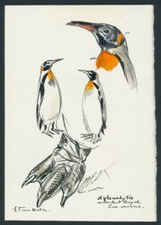 N° 1220 "Antwerp Zoo - 3fr. + 1fr. King Penguin", unadopted study ...