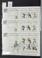 1938/2006 Accumulation de feuillets souvenirs avec doublons dans 3 ...