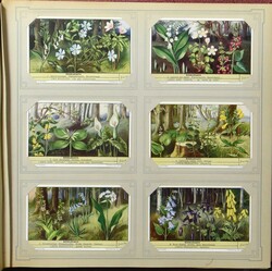 6 albums complets et 7 albums incomplets, séries modernes