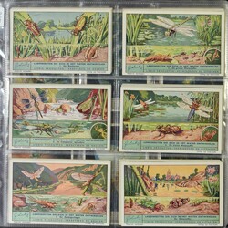 2 albums modernes (n° 1350/1450) (150 séries)