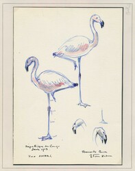 N° 487 ‘Protected birds - 3fr. flamingo’, design in watercolour, ...