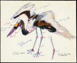 N° 494 "Protected birds - 20fr. Jabiru", watercolour design with ...