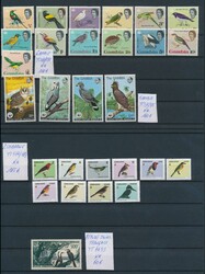 Birds, small collection of better stamps from African countries ...