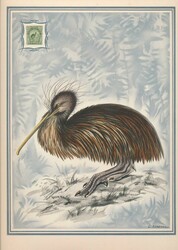 Oiseaux : impression grand format d'après J. Gould (1848) avec ...