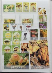 2 albums WWF + 3 stockbooks (**/*/0/FDC), comprenant de nombreuses ...