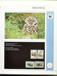 10 Mappen mit Marken und FDCs, einwandfreiOriginal niederländische ...